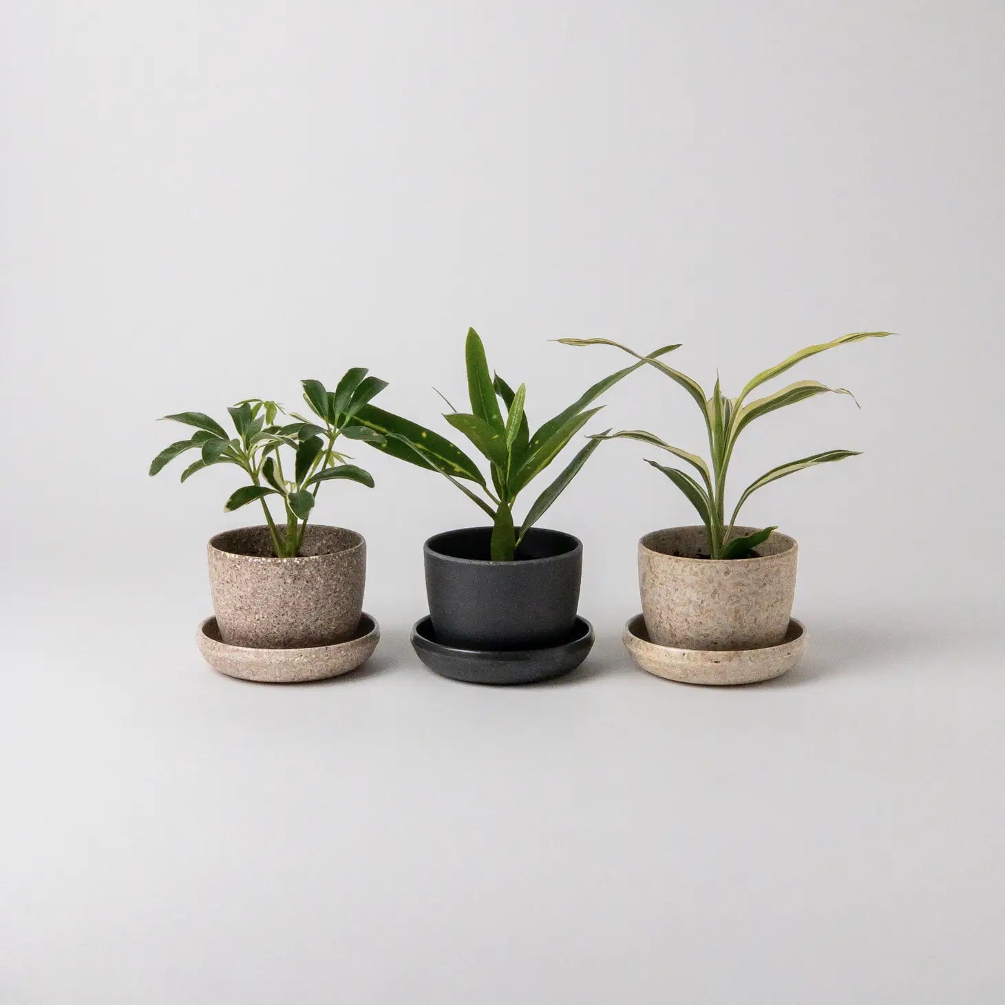 Kanso - Natural Husk Planters