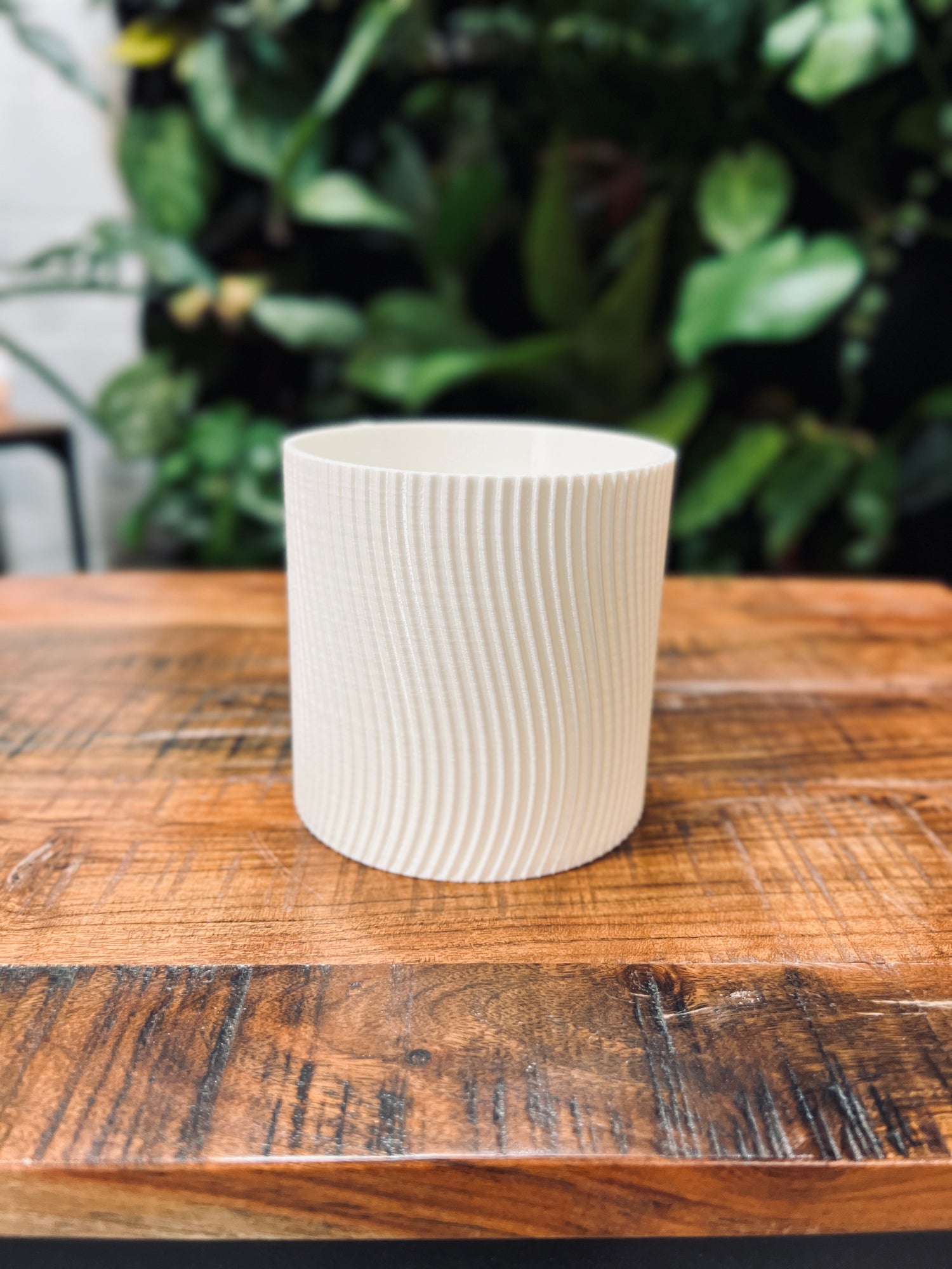 "Ryse" Plant Gather Plant Pot