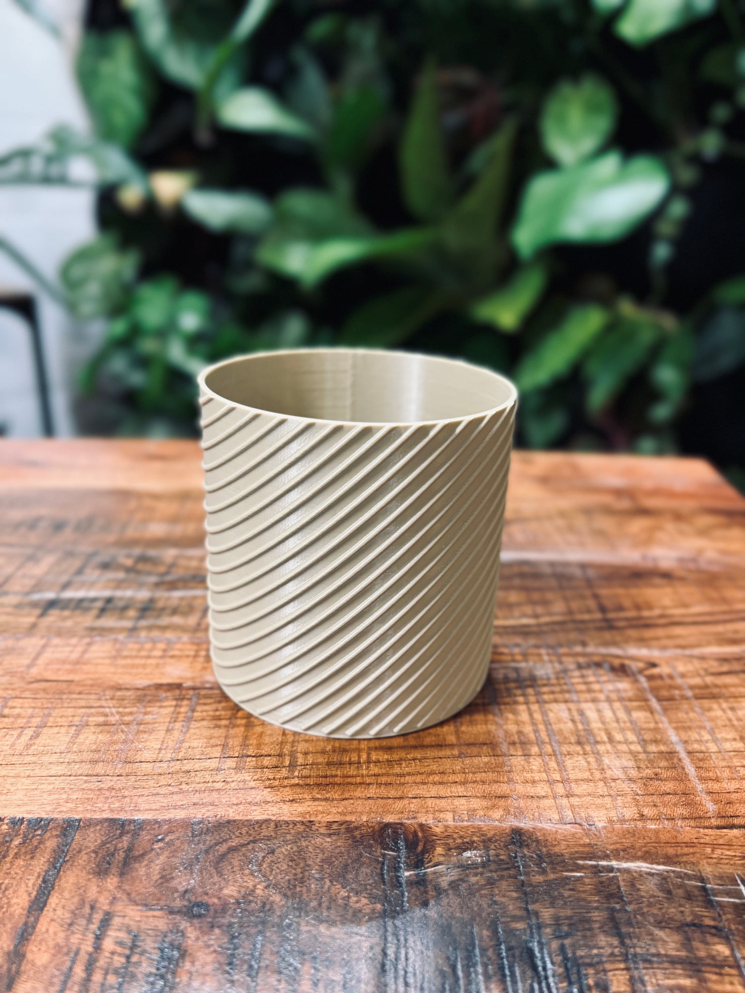 "Ryse" Plant Gather Plant Pot