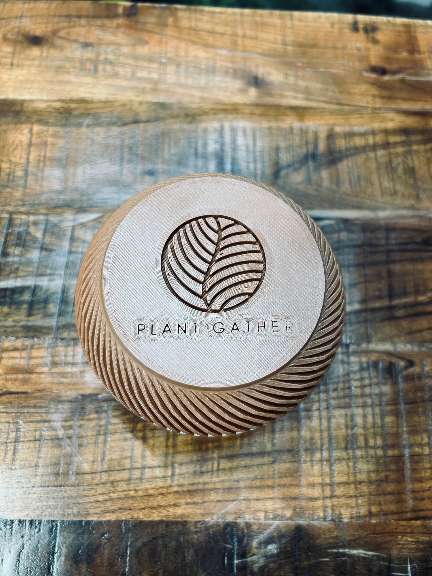 "Full Chevron" Plant Gather Plant Pot