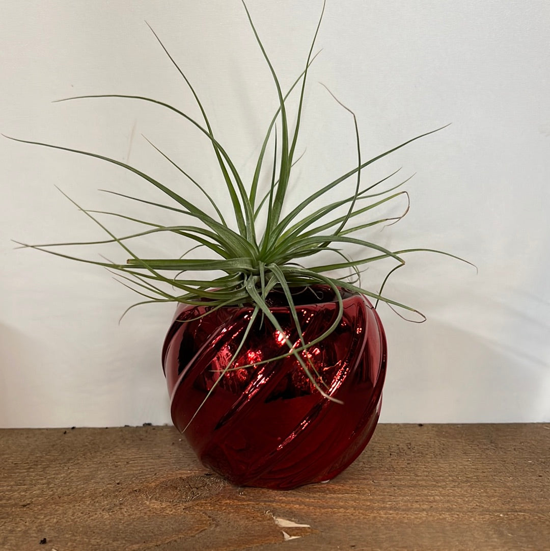 2" Ornamental Balls - Planter