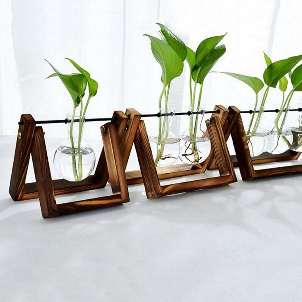 Quick 3 Step Water Propagation Guide