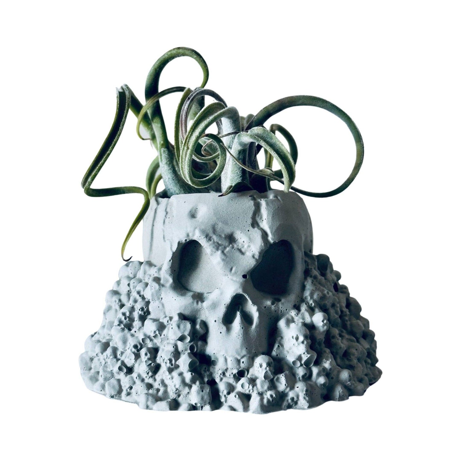 Concrete Skull Planter