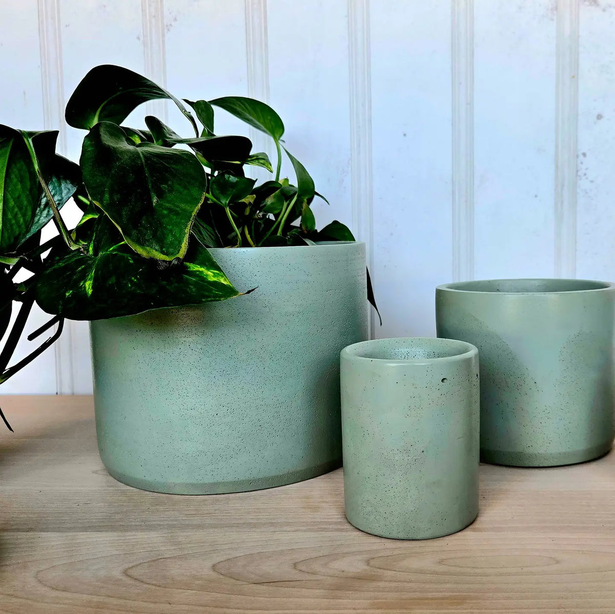 Concrete Plant Pots - Mint Blue