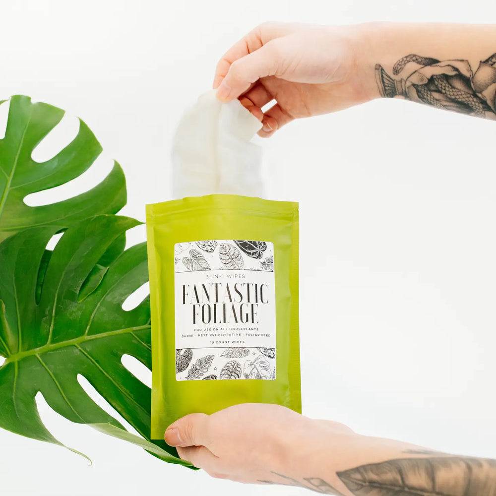 
                  
                    Neem and Peppermint 3-in-1 Plant Wipes
                  
                