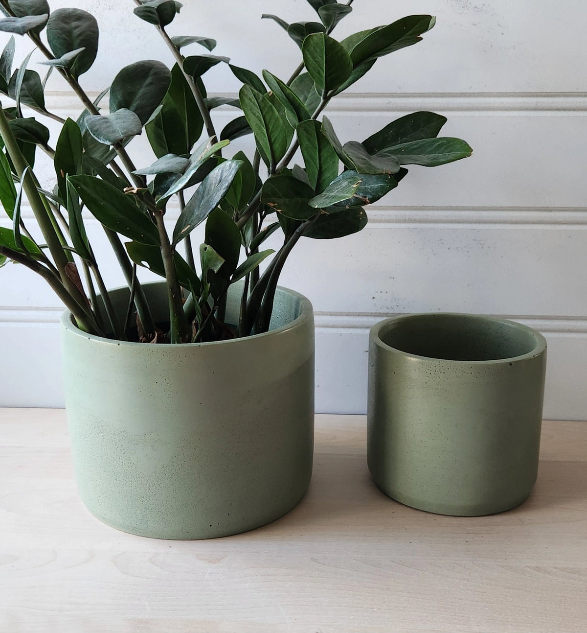 Concrete Plant Pots - Olive