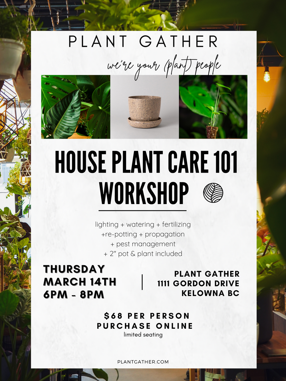House Plant Care 101 *WORKSHOP* - March 14th @ 6PM