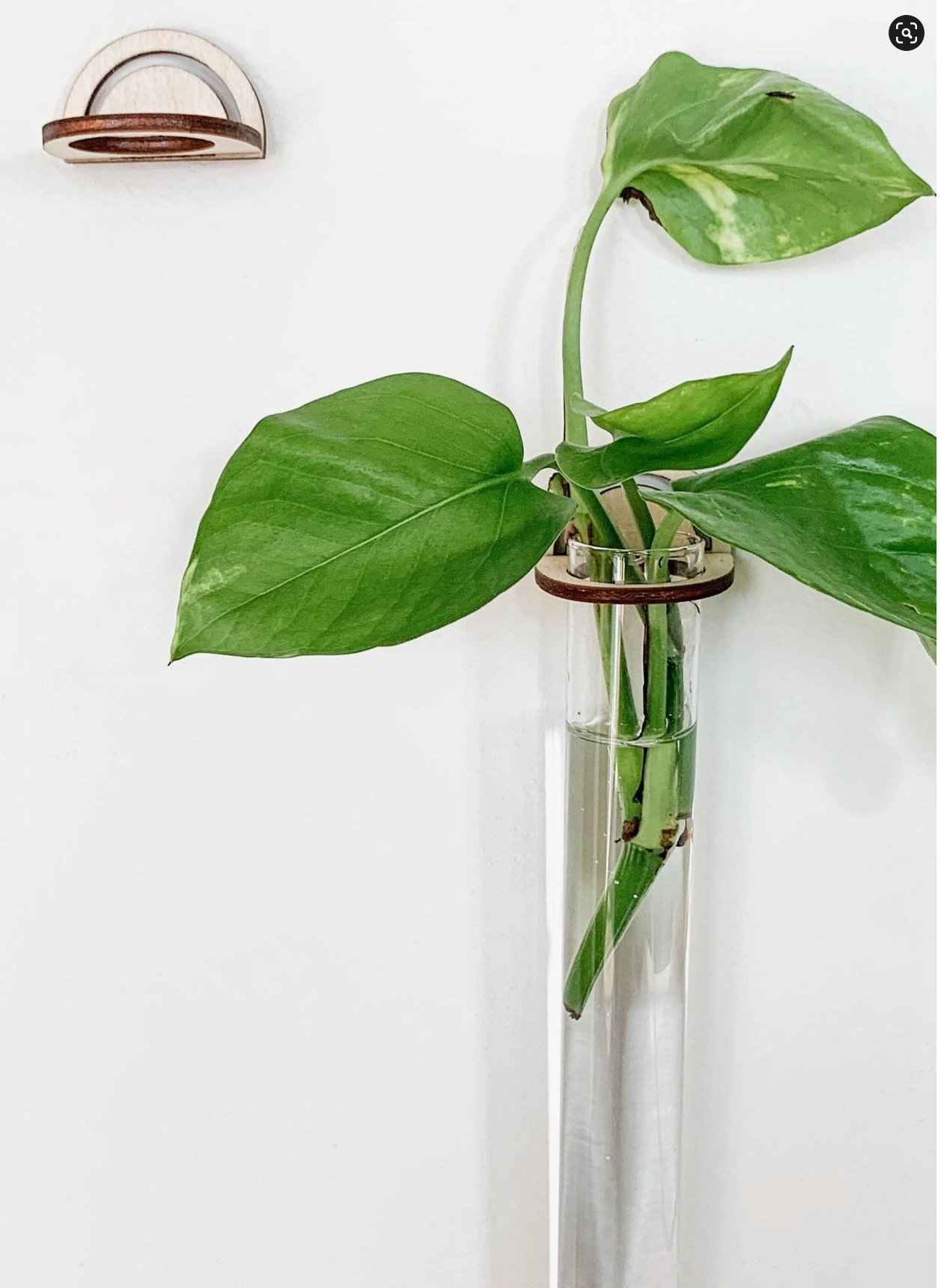Arch Hanging Propagation Set