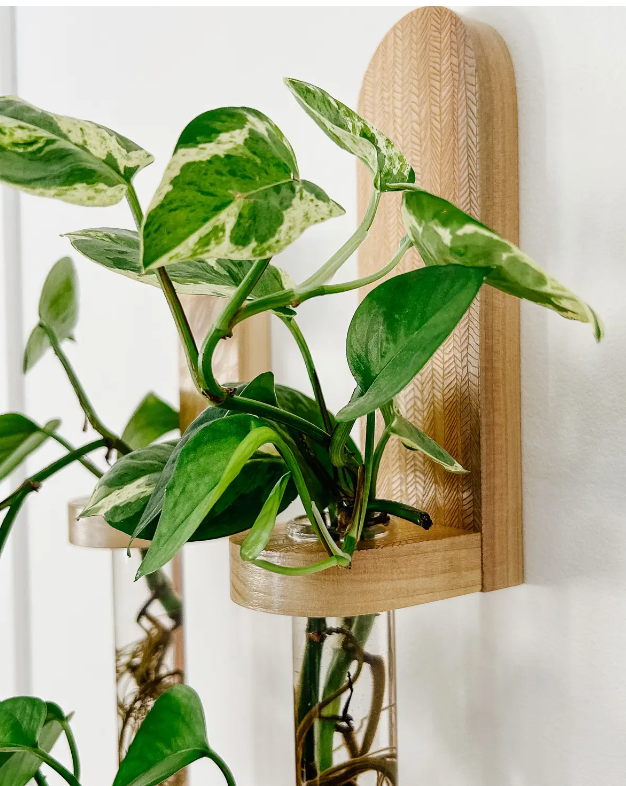 Propagation Little Shelf