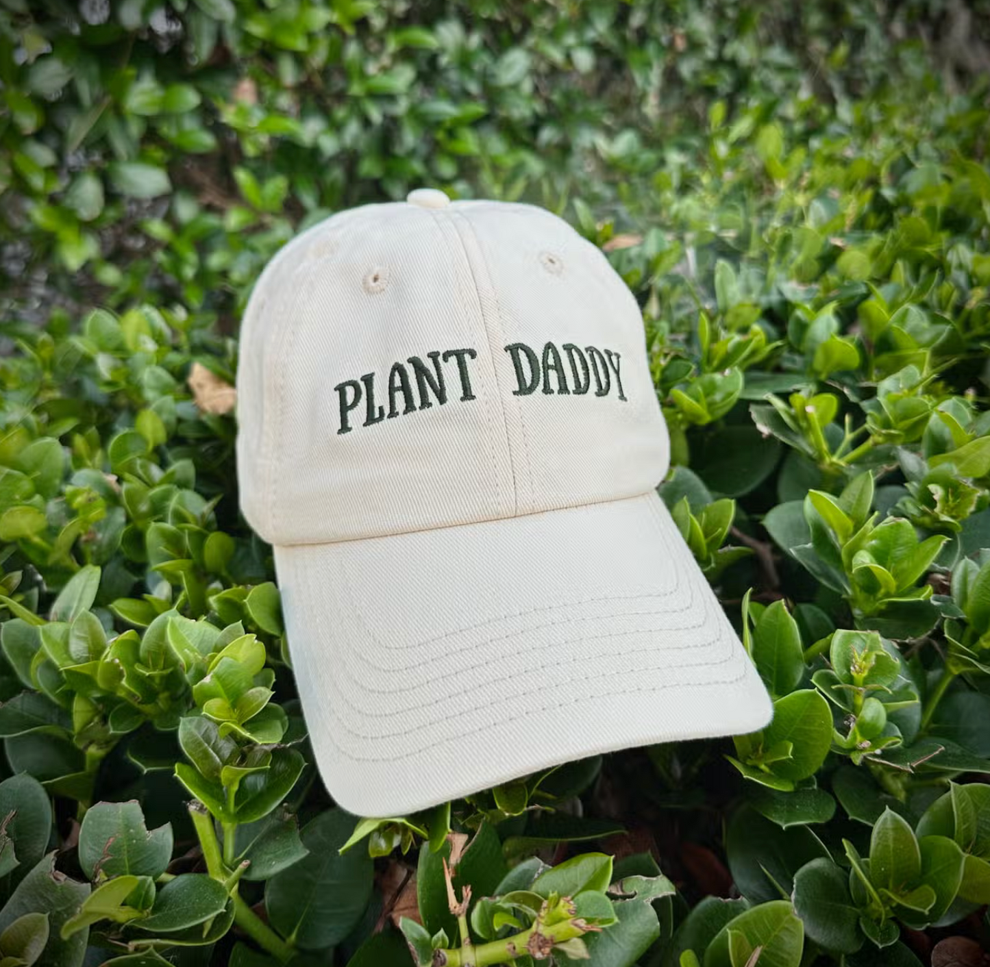 
                  
                    Plant Daddy Hat
                  
                