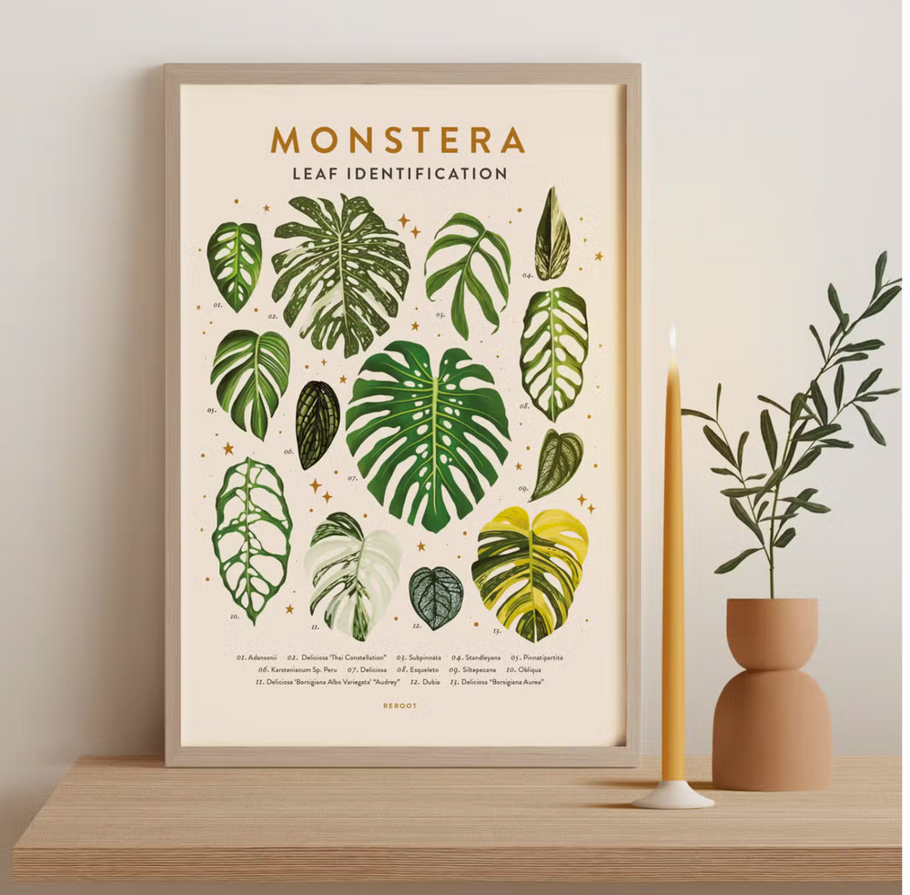 
                  
                    Plant Print
                  
                