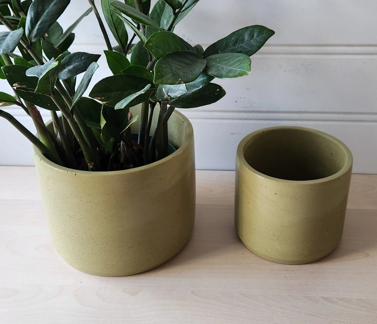 Concrete Plant Pots - Chartreuse