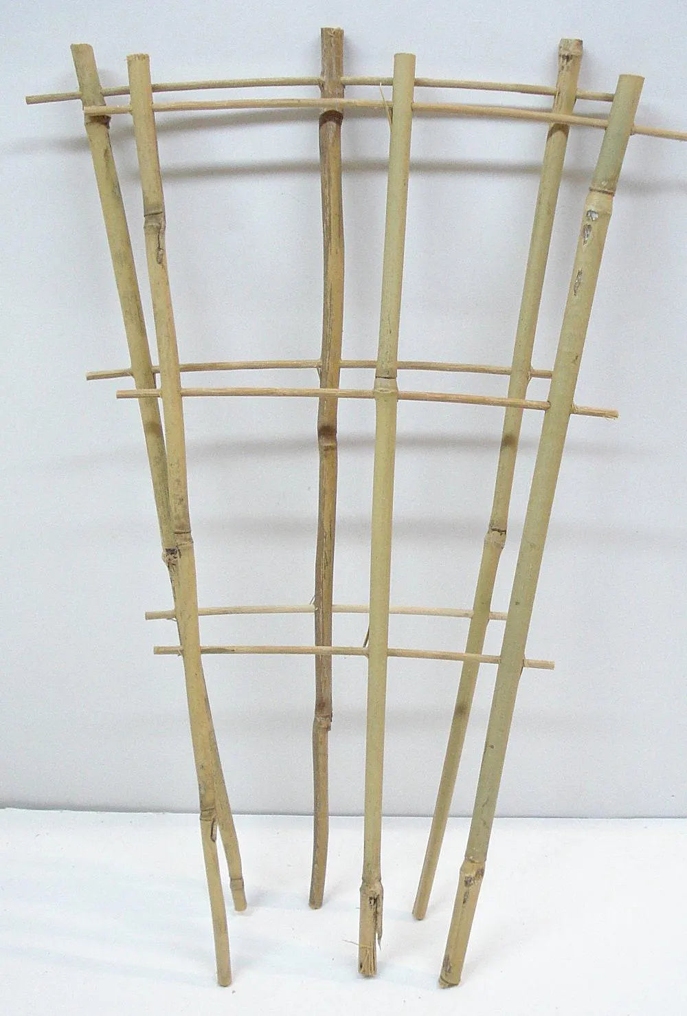 Bamboo Trellis