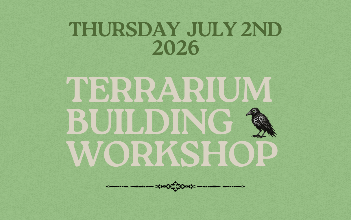Terrarium Building Workshop - Thursday July 2nd