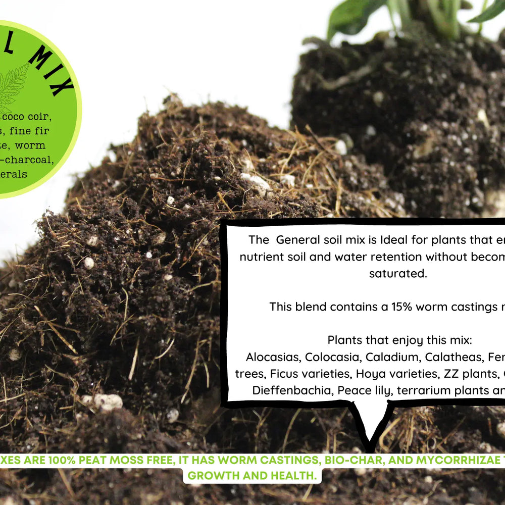 
                  
                    General Blend-Potting soil for indoor plants
                  
                