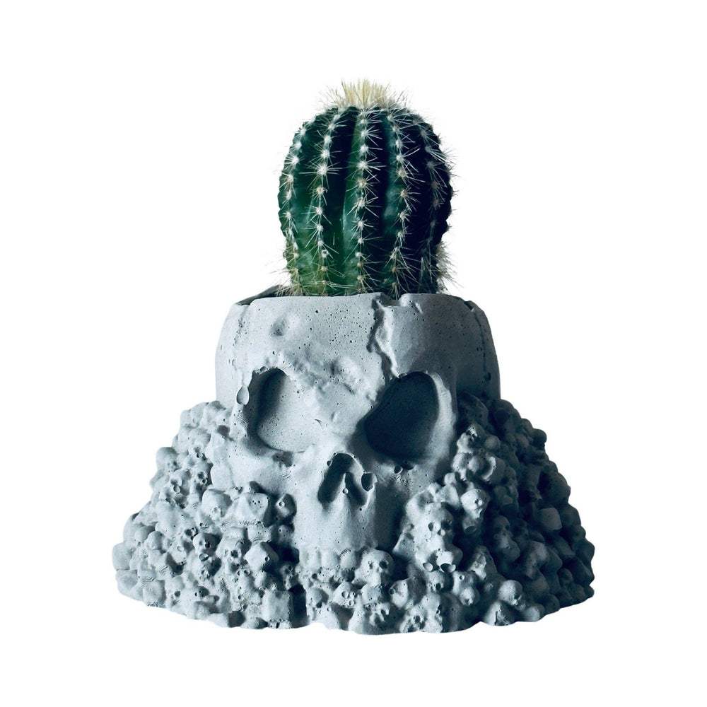 Concrete Skull Planter