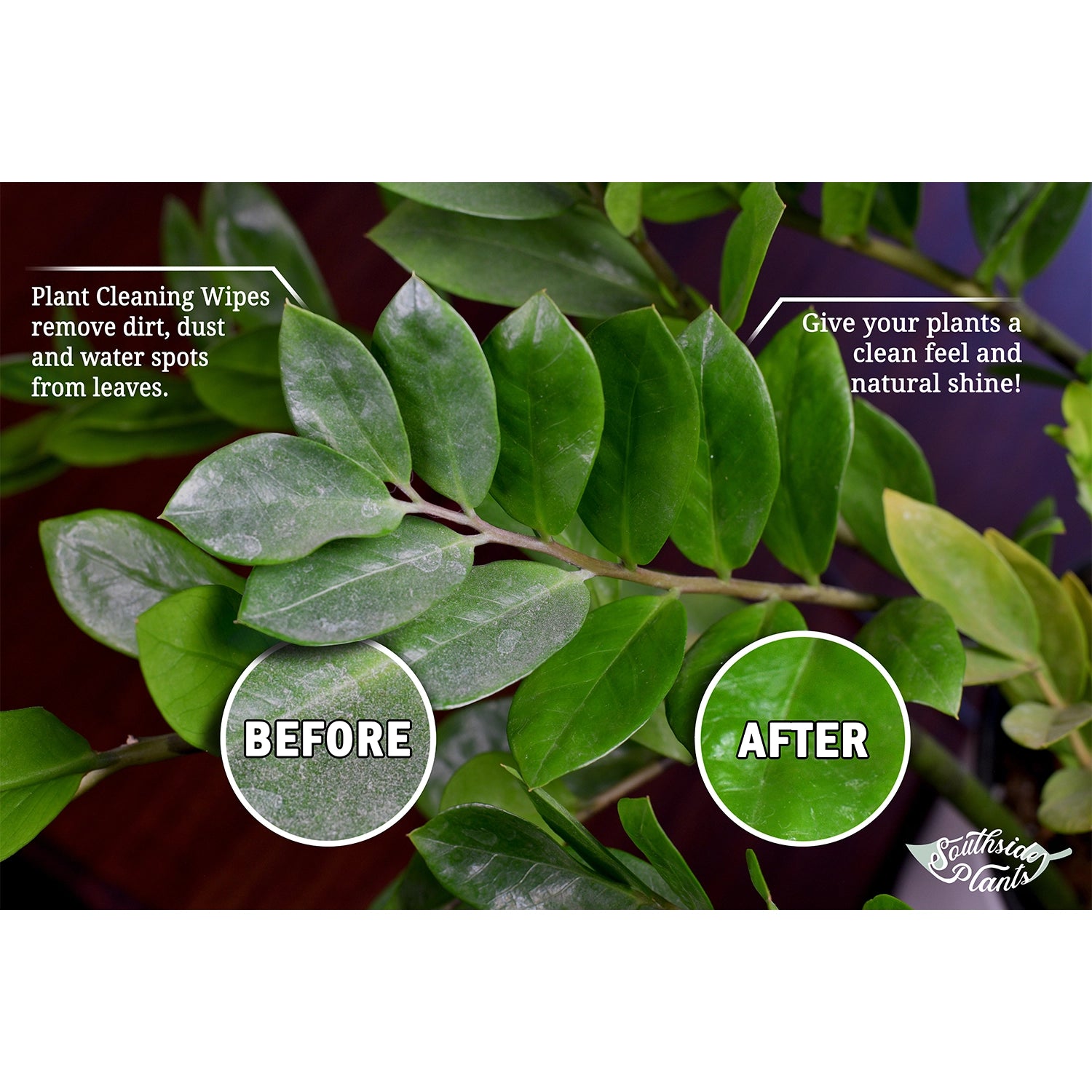 Houseplant Cleaning and Dusting Wipes