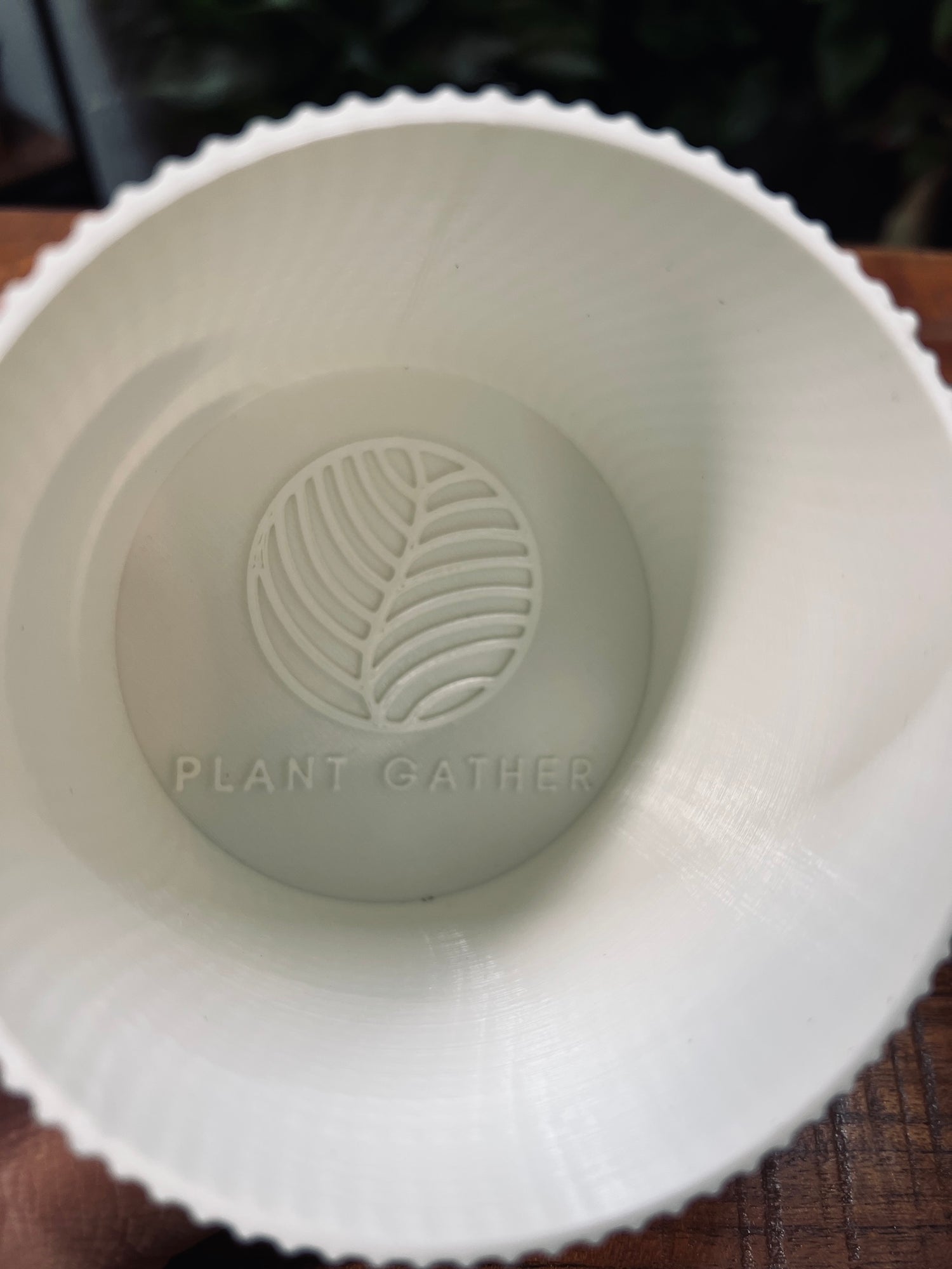"Ryse" Plant Gather Plant Pot