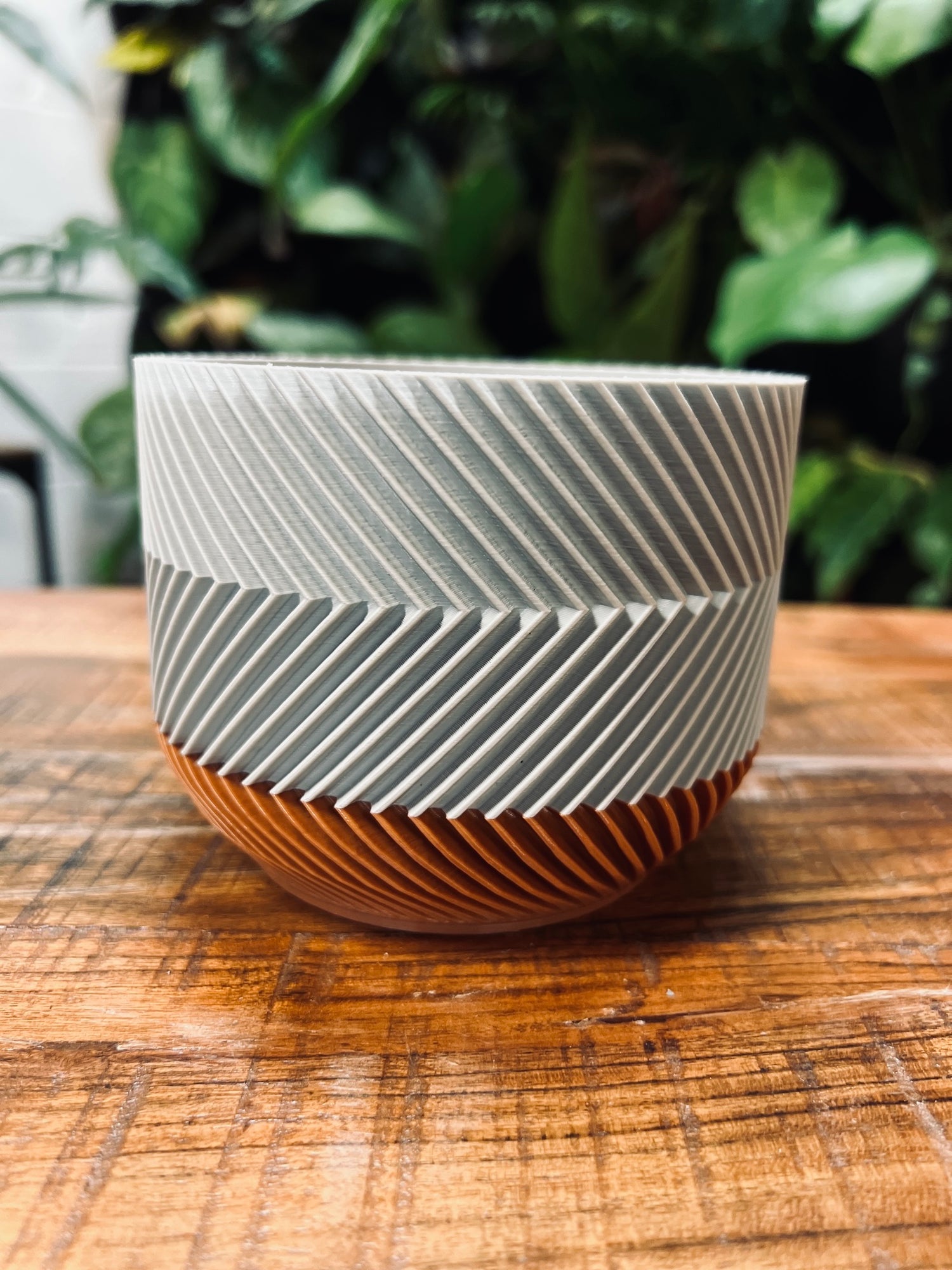 "Full Chevron" Plant Gather Plant Pot