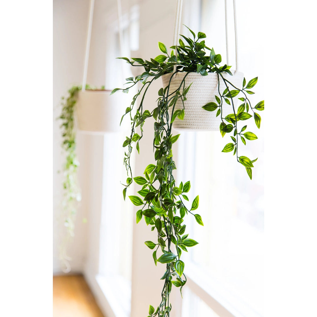 4" Hanging Planter