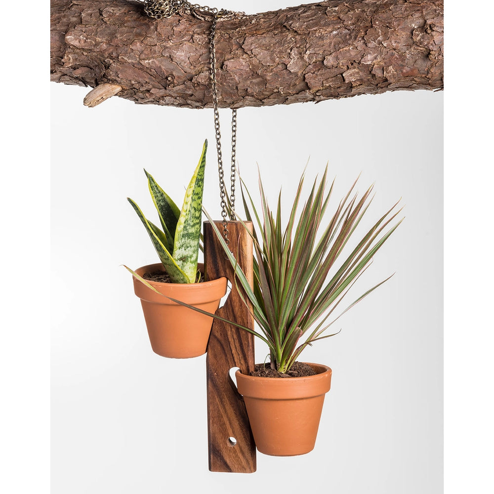 
                  
                    Hanging / Standing Plant Holder
                  
                