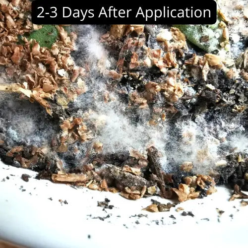 BIOS - Organic Plant Fertilizer