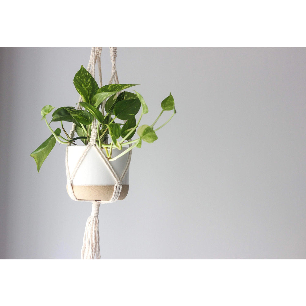 Macrame Hanging Plant Holder in Cream