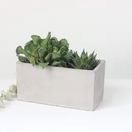 Concrete Cement Rectangle Planter/Succulent Box
