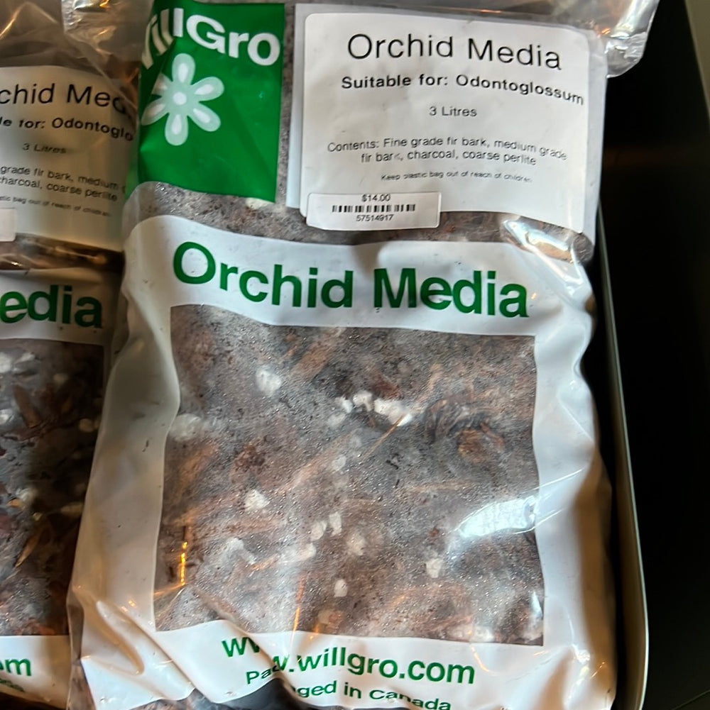 Orchid Media