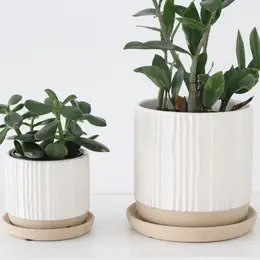 Textured Planter with Attached Saucer