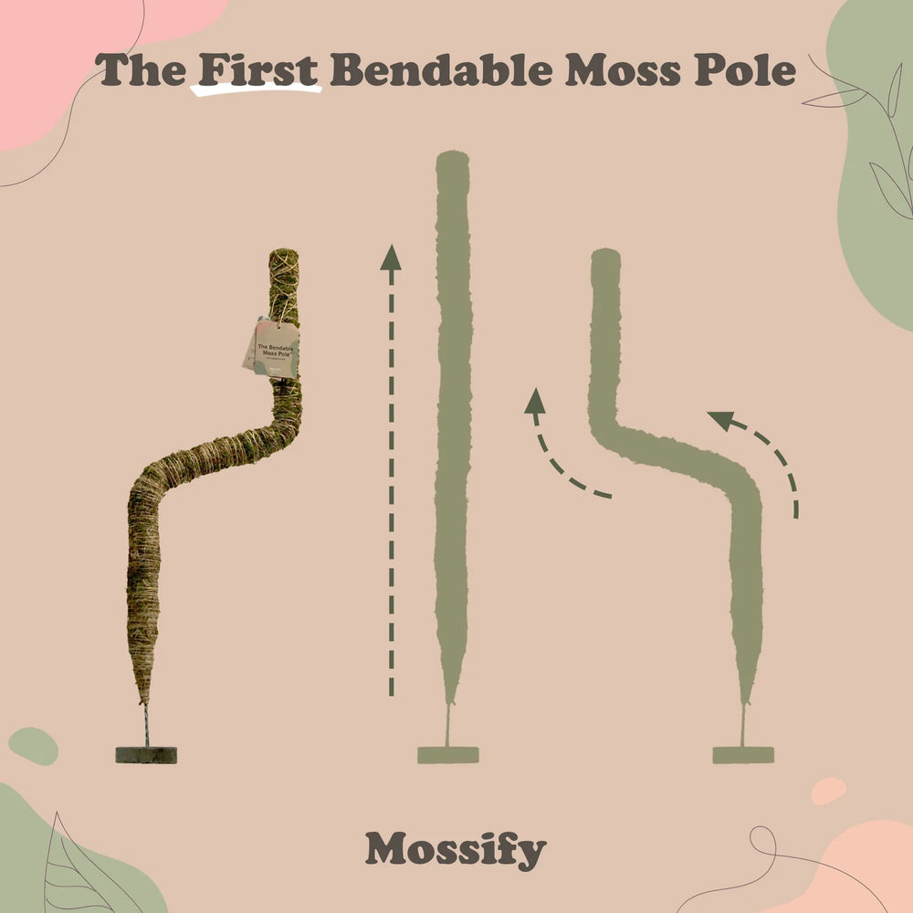 
                  
                    The Bendable Moss Pole - For Climbing Plants
                  
                